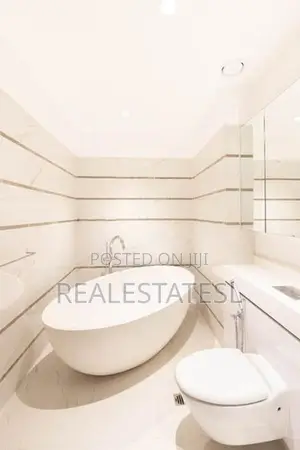 LUXURY FURNISHED PENTHOUSE FOR RENT- Cinnamon Life Col-2