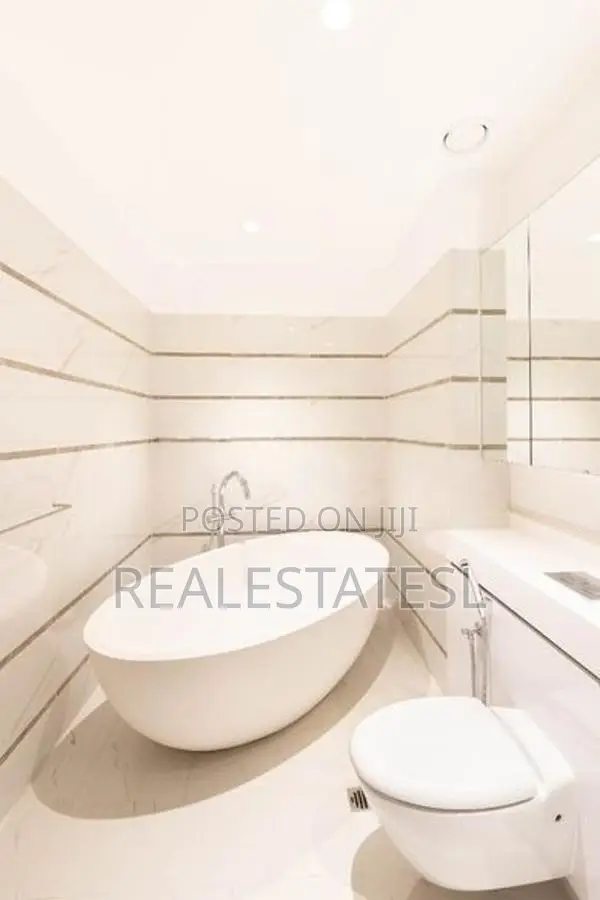 LUXURY FURNISHED PENTHOUSE FOR RENT- Cinnamon Life Col-2