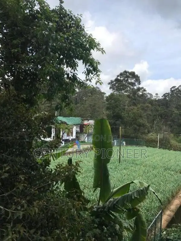 2 Bedrooms Apartment For Sale In Nuwara Eliya @Lake View Residencies