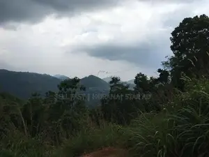 Land for Sale Deraniyagala - Viewpoint Hotel