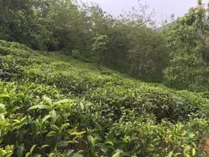 Land for Sale Deraniyagala - Viewpoint Hotel