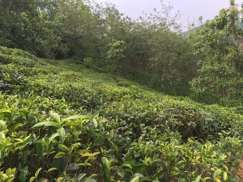 Land for Sale Deraniyagala - Viewpoint Hotel