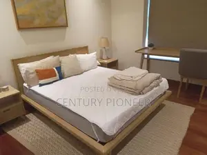 Luxury 02 Bedrooms Apartment For Rent In Colombo At Cinnamon Life