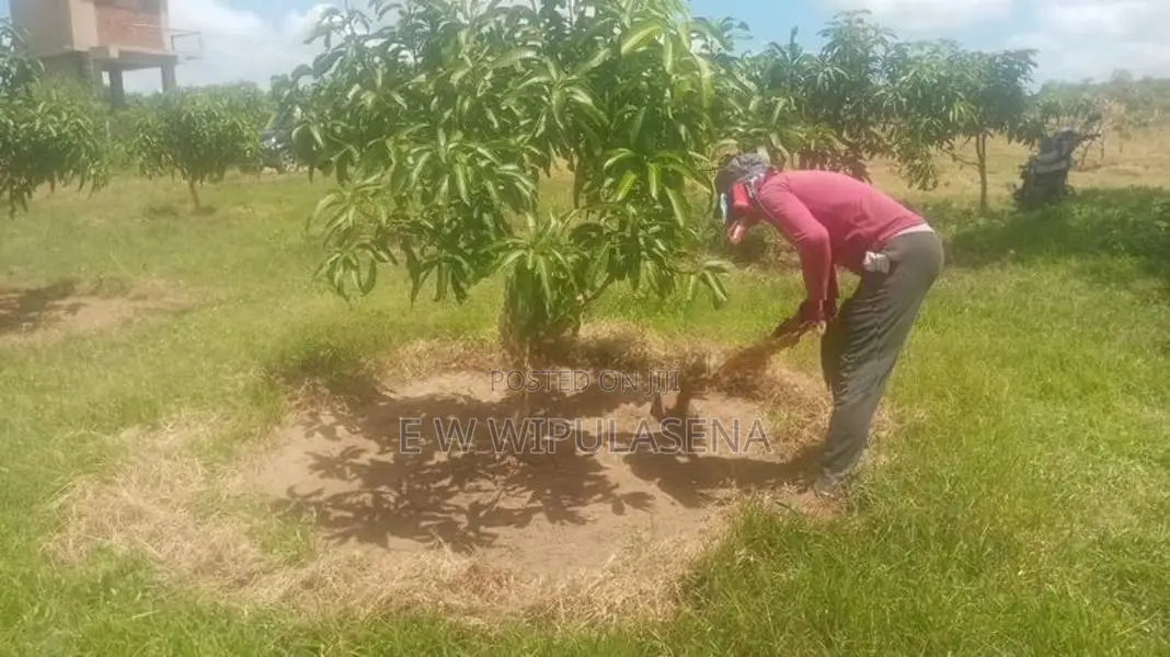 40 PERCHES LAND for SALE in Bataatha