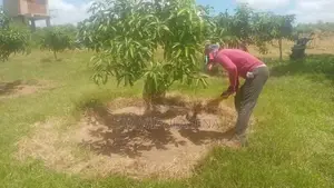 40 PERCHES LAND for SALE in Bataatha