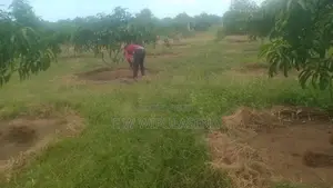 40 PERCHES LAND for SALE in Bataatha