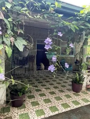 single story house for rent