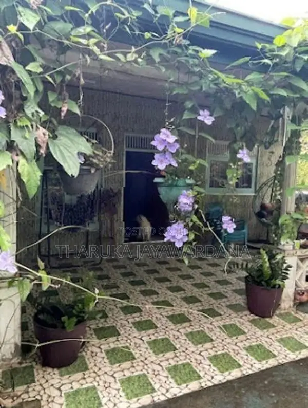 single story house for rent