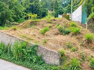 වටිනා ඉඩමක් විකිණීමට – හල්ඔලුව, මහනුවර