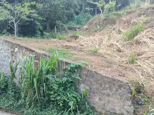 වටිනා ඉඩමක් විකිණීමට – හල්ඔලුව, මහනුවර