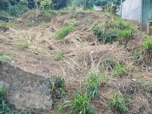 වටිනා ඉඩමක් විකිණීමට – හල්ඔලුව, මහනුවර