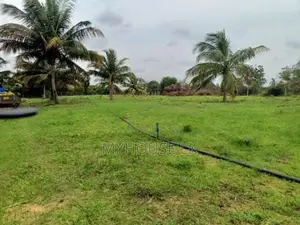 Coconut Land with Aquaculture Farm for Sale in Puttalam