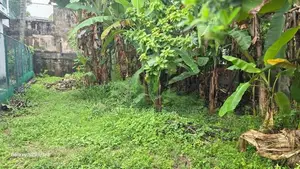 Land For Sale In Nawala - 8.18P
