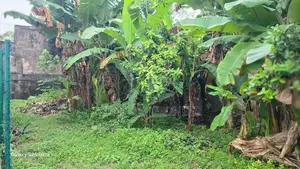 Land For Sale In Nawala - 8.18P