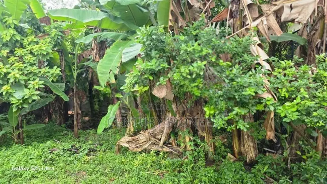 Land For Sale In Nawala - 8.18P
