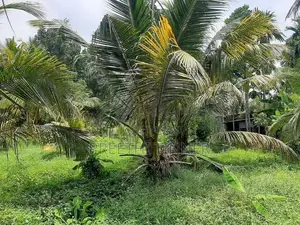 Half-Acre Land For Sale Near Galahitiyawa Central College Ganemulla