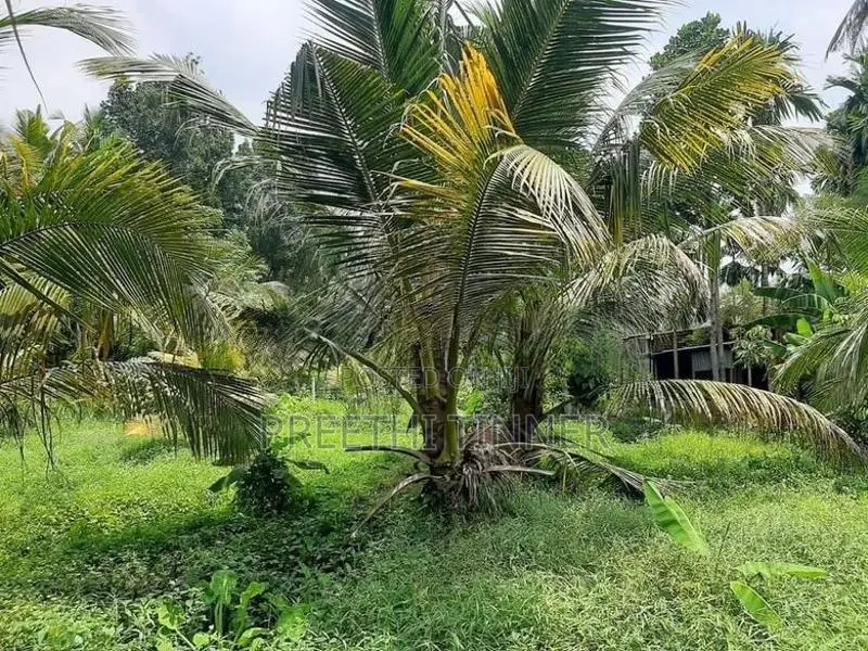 Half-Acre Land For Sale Near Galahitiyawa Central College Ganemulla