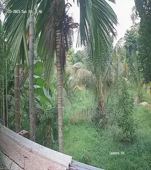 Half-Acre Land For Sale Near Galahitiyawa Central College Ganemulla