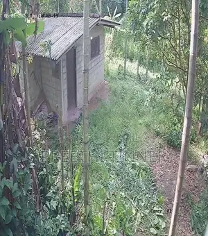 Half-Acre Land For Sale Near Galahitiyawa Central College Ganemulla