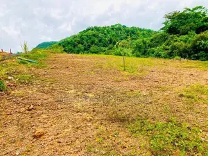 Land For sale in Avissawella Tawn