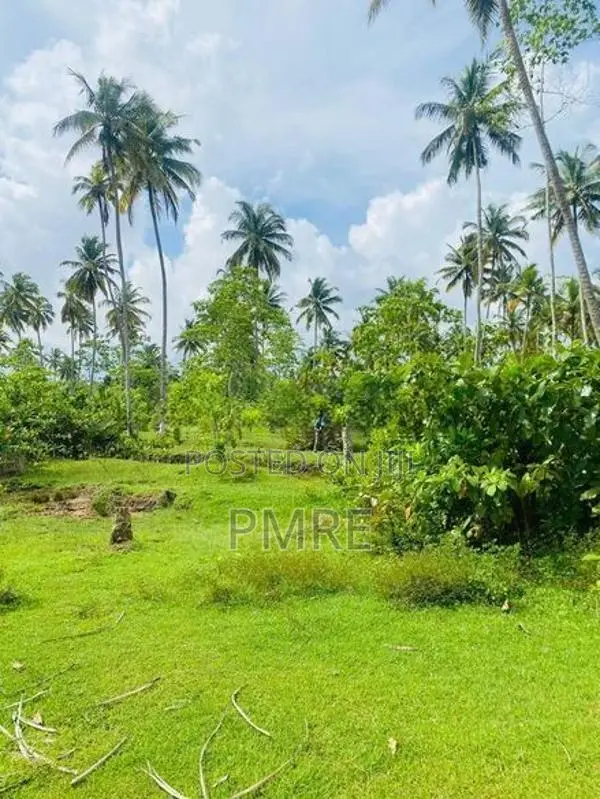 Land for sale in Colombo 6