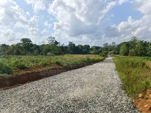 Best land for sale ඇහැලියගොඩ