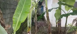 Land For Sale Kelaniya