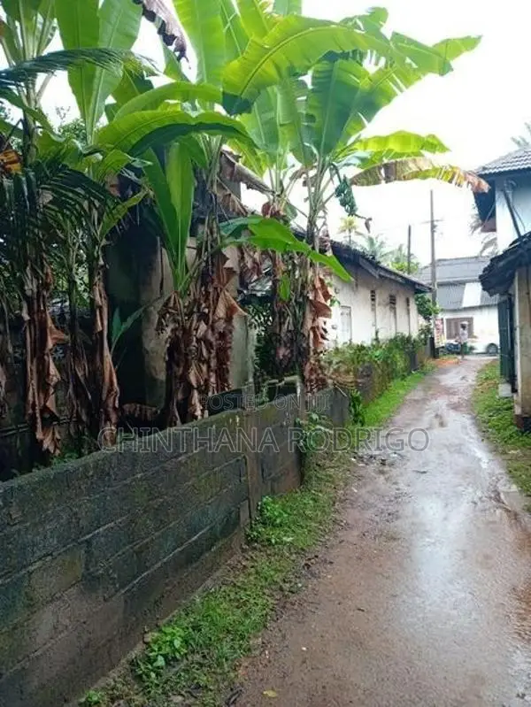 Land For Sale Kuda Payagala In Kalutara