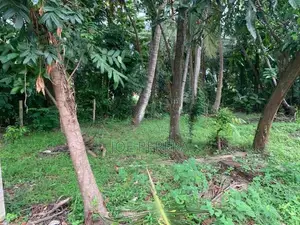 11-Perch Land For Sale – Negombo Town
