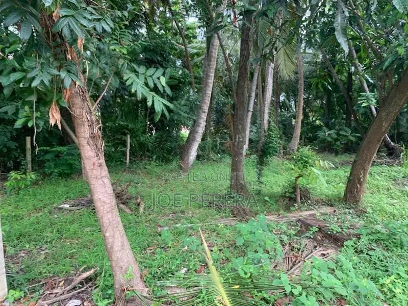 11-Perch Land For Sale – Negombo Town