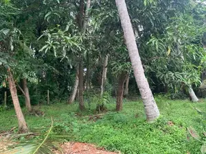 11-Perch Land For Sale – Negombo Town