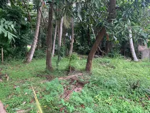 11-Perch Land For Sale – Negombo Town