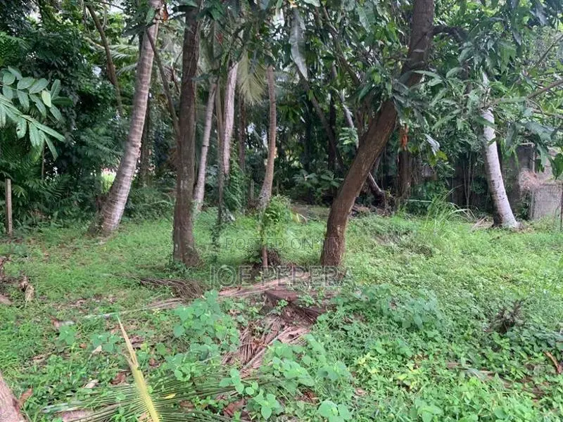 11-Perch Land For Sale – Negombo Town