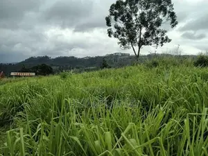Land for Sale in Pussallawa