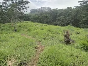 Land for Sale in Pussallawa