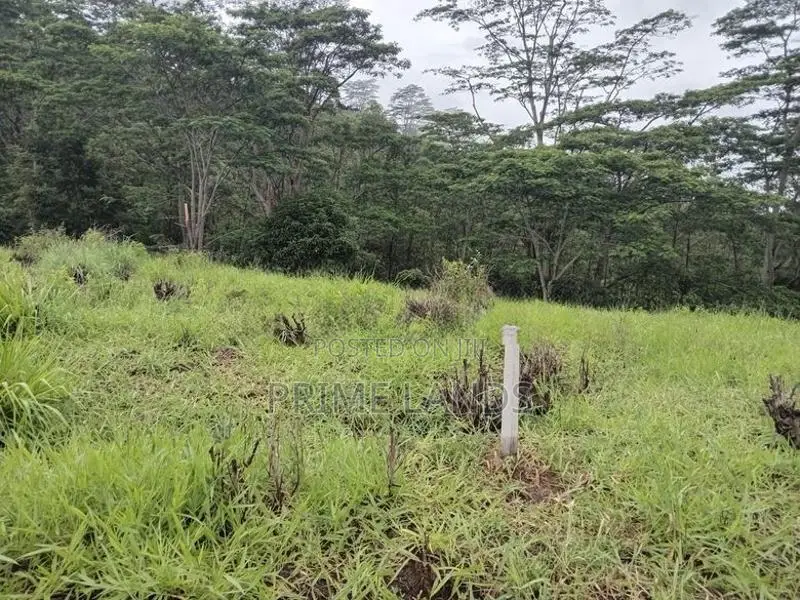 Land for Sale in Pussallawa