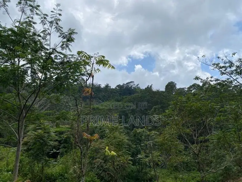 Land for Sale in Pussallawa