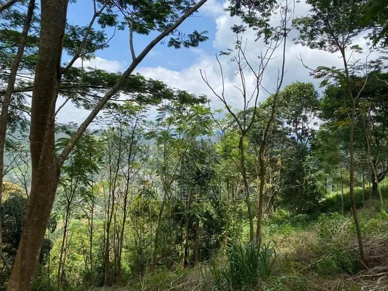 Land for Sale in Pussallawa