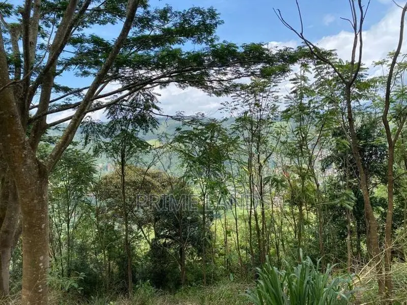 Land for Sale in Pussallawa