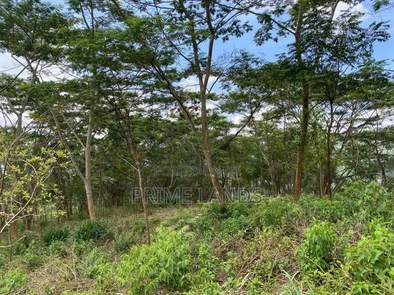 Land for Sale in Pussallawa