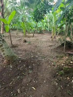 Land for Sale - Gampaha
