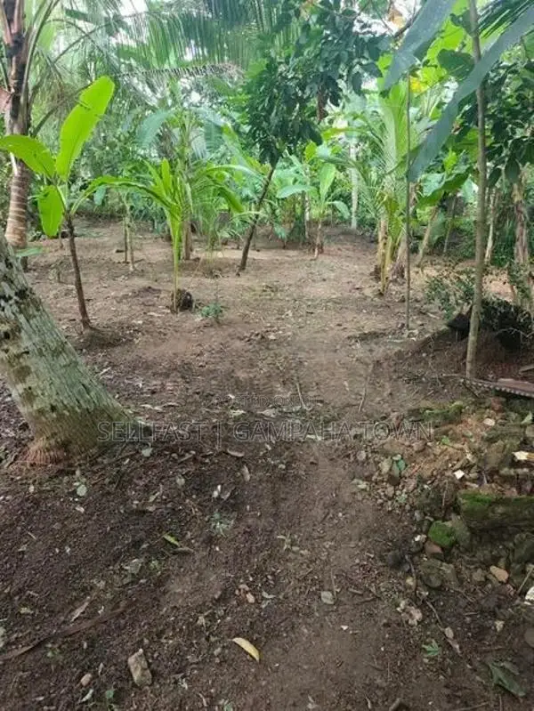 Land for Sale - Gampaha