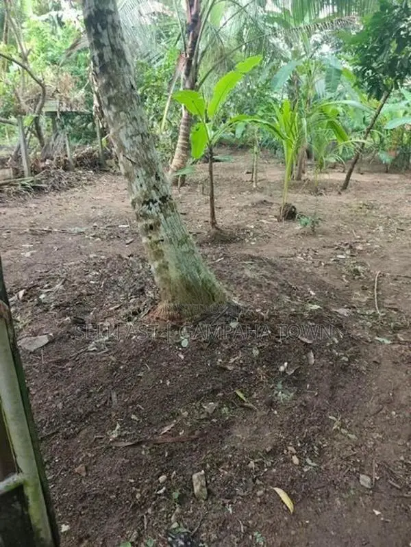 Land for Sale - Gampaha