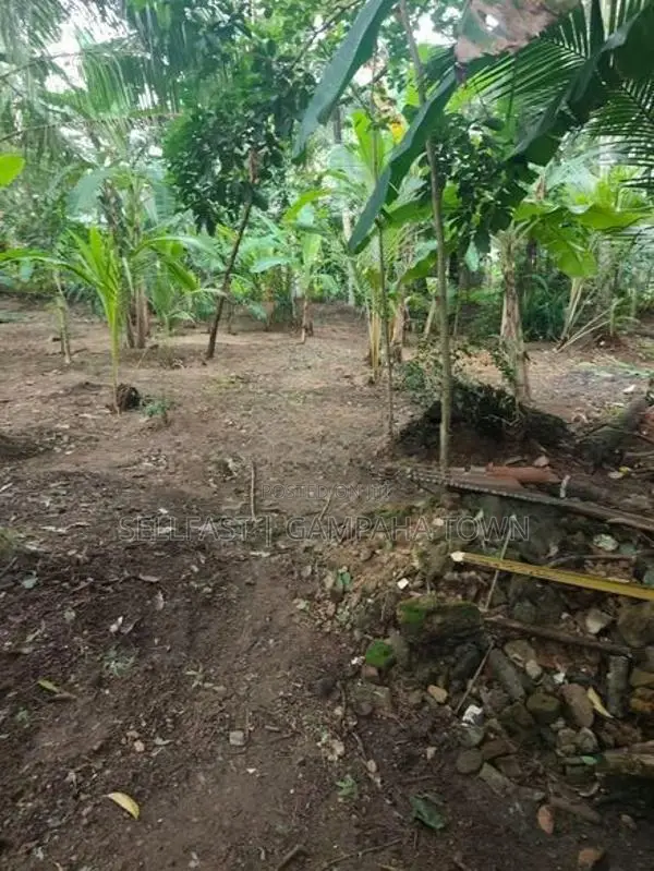 Land for Sale - Gampaha