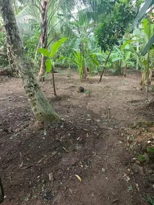 Land for Sale - Gampaha