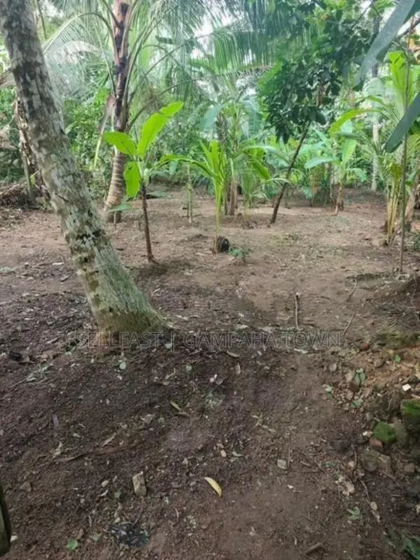 Land for Sale - Gampaha