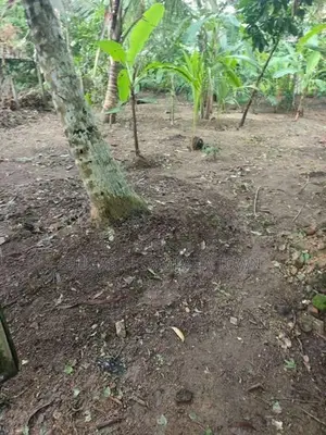 Land for Sale - Gampaha