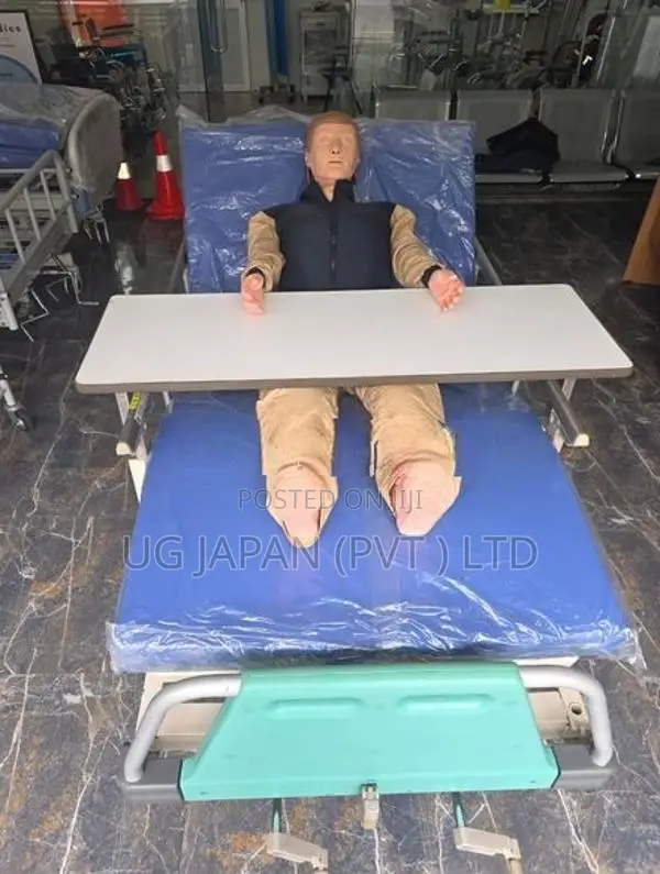 Hospital Bed Manual Three Function With Mattress
