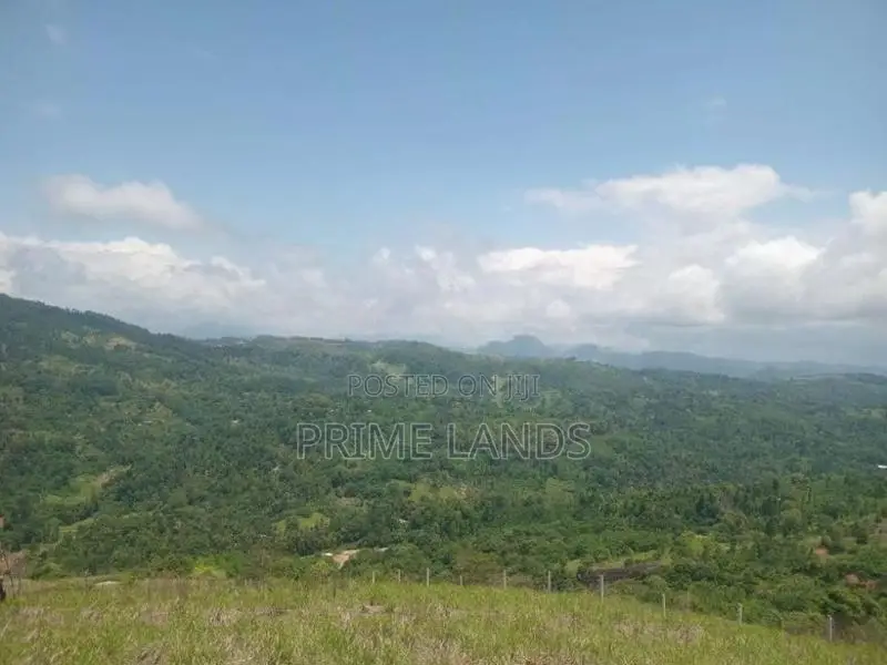 Land for Sale Nillamba