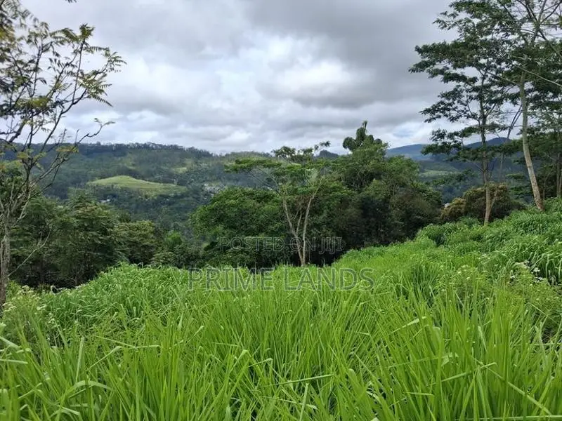 Land for Sale Pussellawa